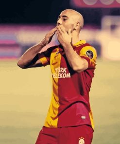 Nordin Amrabat Paint By Numbers