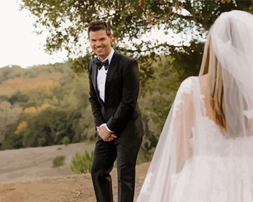 Taylor Lautner Wedding Paint By Numbers