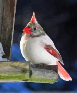 White Cardinal Paint By Numbers