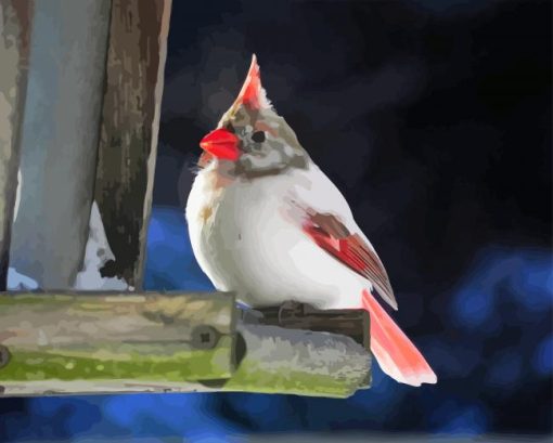 White Cardinal Paint By Numbers