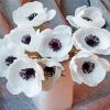 White Anemones Flowers Vase Paint By Numbers