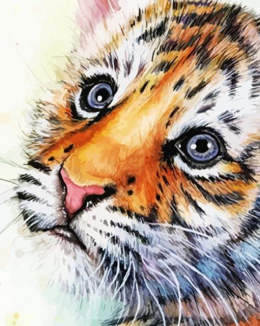 Baby Face Tiger Paint By Numbers