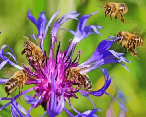 Bees On Purple Flowers Paint By Numbers