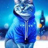 Cat In A Blue Hoodie Paint By Numbers