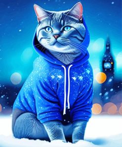 Cat In A Blue Hoodie Paint By Numbers