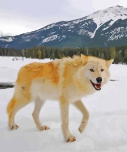 Gold Wolf In Snow Paint By Numbers