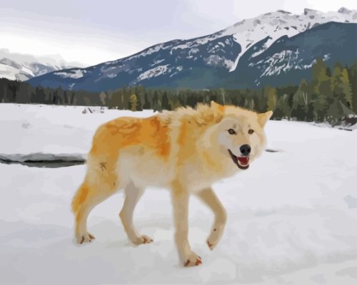 Gold Wolf In Snow Paint By Numbers