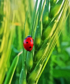 Ladybug Paint By Numbers