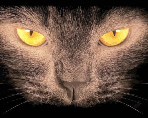 Orange Eye Dark Cat Paint By Numbers