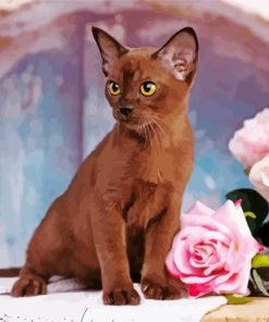 Burmese Cat And Pink Roses Paint By Numbers