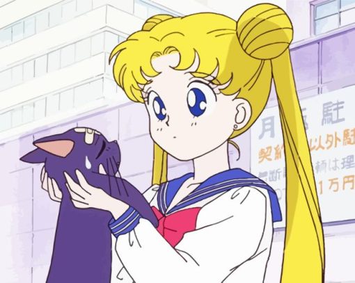 Luna And Sailor Moon Anime Girl Paint By Numbers