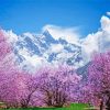 Sakura Tree Over Clouds With Snowy Landscape Paint By Numbers