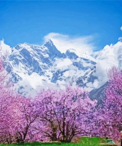 Sakura Tree Over Clouds With Snowy Landscape Paint By Numbers