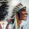 The Chief Wolf Robe Cheyenne Paint By Numbers