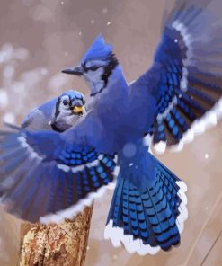 Two Blue Jay In Winter Paint By Numbers