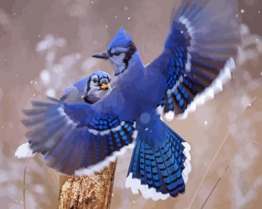 Two Blue Jay In Winter Paint By Numbers