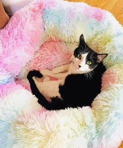 Rainbow Cat Bed paint by numbers