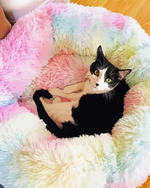 Rainbow Cat Bed paint by numbers