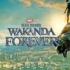 Wakanda Forever Black Panther Poster Paint By Numbers