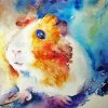 Abstract Guinea Pig Paint By Numbers