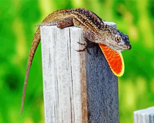 Anole Brown Lizard Paint By Numbers