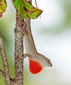 Anole Lizard On Branch Paint By Numbers