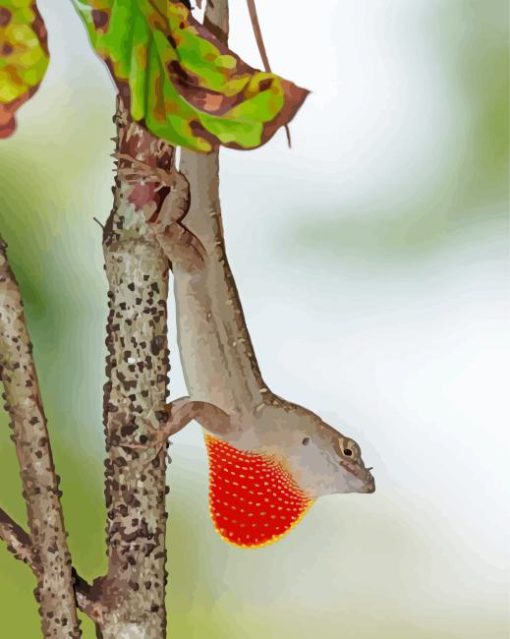 Anole Lizard On Branch Paint By Numbers