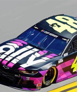 Black And Pink 48 Race Car Paint By Numbers