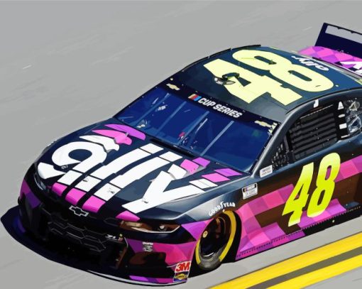 Black And Pink 48 Race Car Paint By Numbers