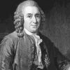 Black And White Botanist Carl Linnaeus Paint By Numbers