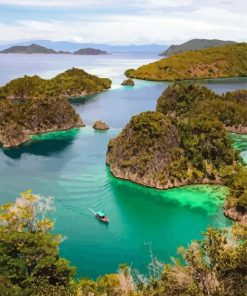 Boat In Raja Ampat Paint By Numbers