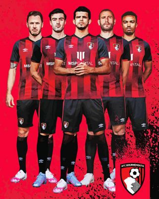 Bournemouth Football Club Players Paint By Numbers