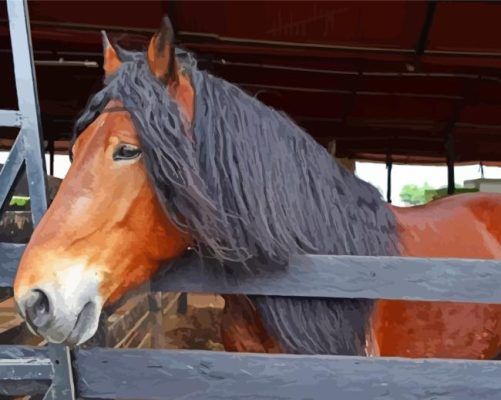 Brown Percheron Horse Paint By Numbers