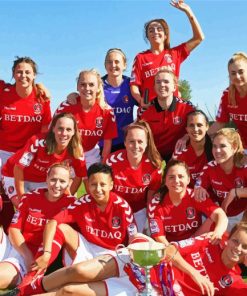 Charlton Athletic FC Women Team Paint By Numbers