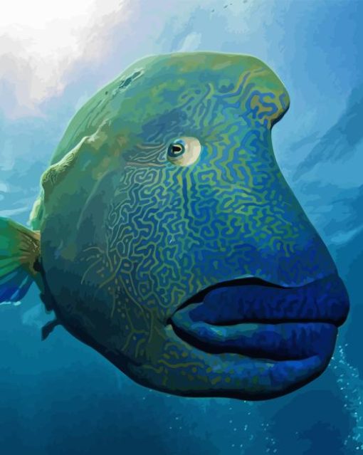 Close Up Giant Fish Paint By Numbers