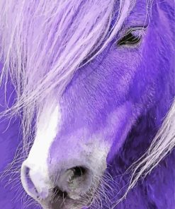 Close Up Purple Horse Paint By Numbers