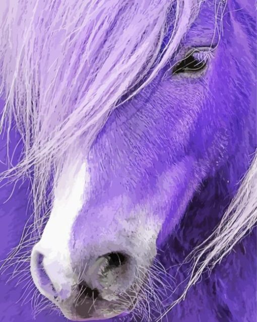 Close Up Purple Horse Paint By Numbers