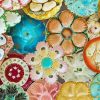 Colorful Oyster Plates Paint By Numbers