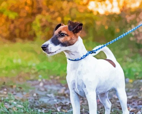 Fox Terrier Dog Paint By Numbers