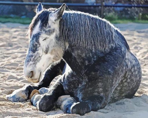 Grey Percheron Horse Paint By Numbers