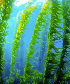 Kelp Forest Paint By Numbers