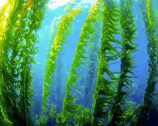 Kelp Forest Paint By Numbers