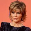 Lisa Rinna Paint By Numbers