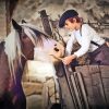 Little Boy Feeding Horse Paint By Numbers