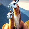 Llamas Paint By Numbers