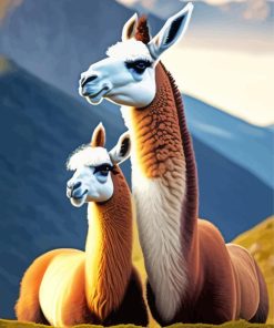 Llamas Paint By Numbers