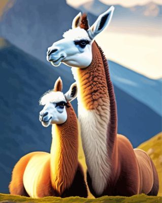 Llamas Paint By Numbers