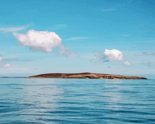 Saltee Islands Seascape Paint By Numbers