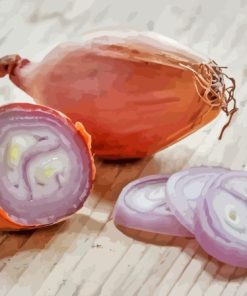 Shallot Paint By Numbers