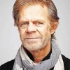 The Actor William H Macy Paint By Numbers